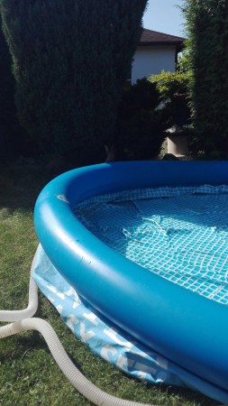 hier ist ein Kaninchen sehr neugierig , hinten links am Beckenrand 